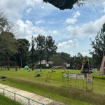Private car charter 4 hours Crocodile Park + Eden Nature Park - Who Would Benefit Most From This Tour?