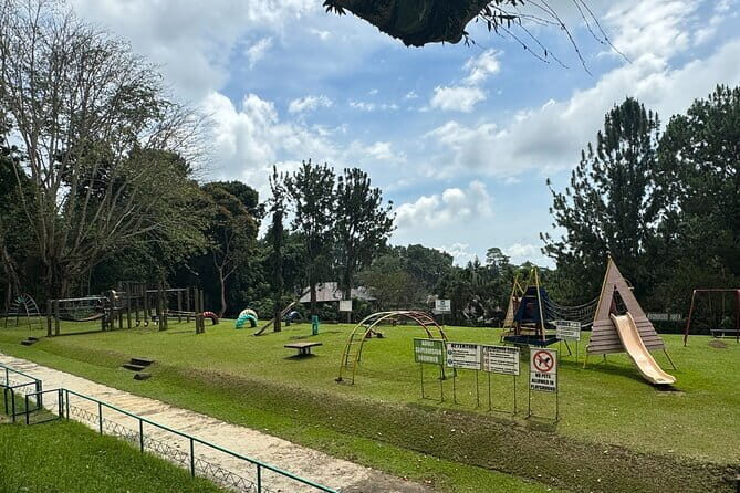 Private car charter 4 hours Crocodile Park + Eden Nature Park - Who Would Benefit Most From This Tour?