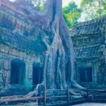 Private car charter ( 4 hr ) visit Angkor + Wat Bayon + Ta phrom - Practical Tips for Making the Most of Your Trip