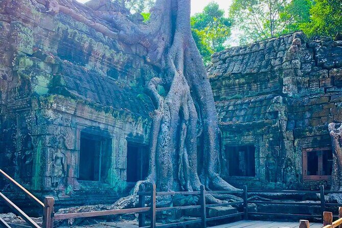Private car charter ( 4 hr ) visit Angkor + Wat Bayon + Ta phrom - Practical Tips for Making the Most of Your Trip