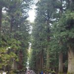 Private Car tour to Mt. Fuji/Hakone with English Driver/Guide - Who Will Love This Tour?