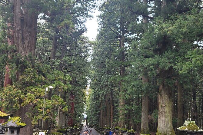 Private Car tour to Mt. Fuji/Hakone with English Driver/Guide - Who Will Love This Tour?