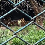Private Central Zoo Tour in Kathmandu - Why This Experience is Worth Considering