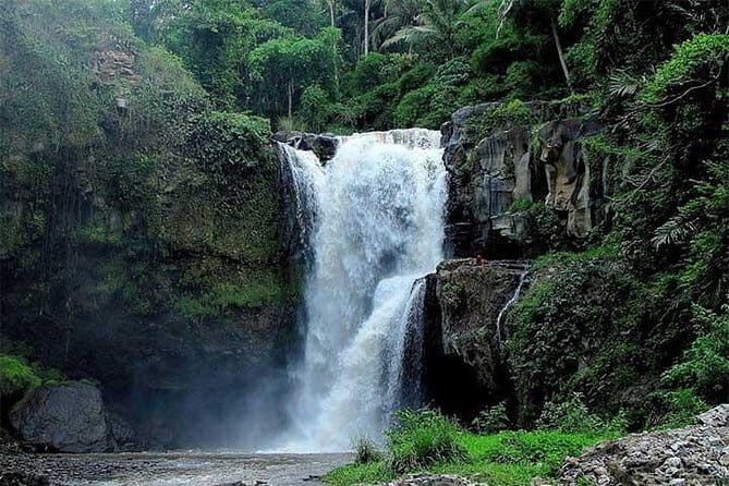 Private Chartered Car to Ubud Villages and Tanah Lot - What Real Reviewers Say
