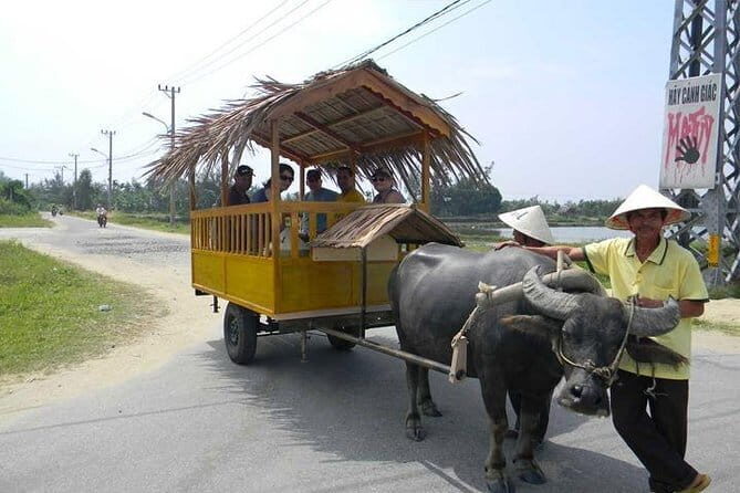 Private Countryside with Buffalo Cart tour - Half Day - Who Should Consider This Tour?