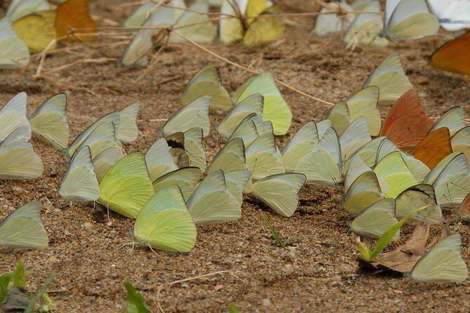 Private Cuc Phuong National Park Day Trip - Potential Drawbacks or Considerations