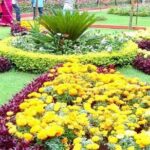 Private Custom Tour: Ooty Sightseeing with Guide - The Practical Side