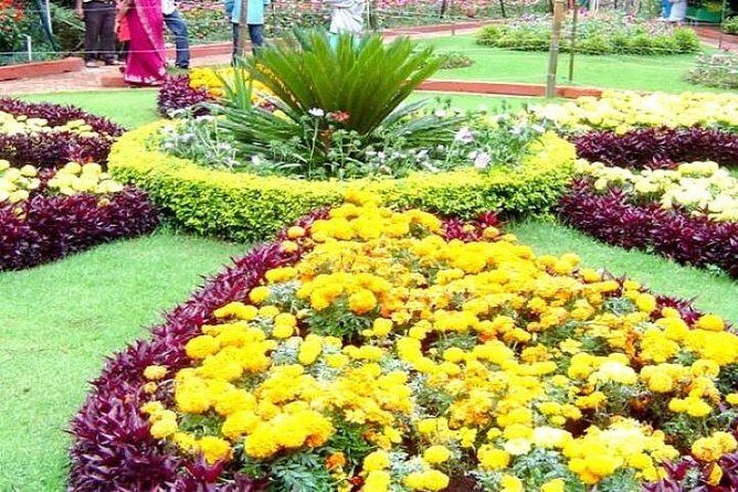 Private Custom Tour: Ooty Sightseeing with Guide - The Practical Side