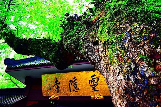 Private Customizable Tour: From Shanghai To Hangzhou With Chinese Lunch - Who Should Book This Tour?