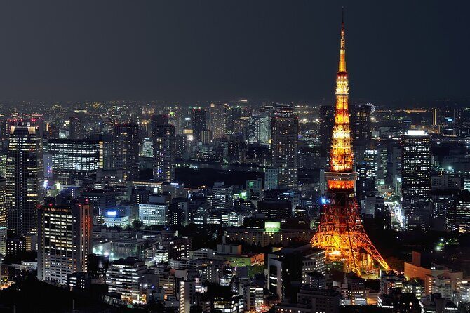 Private Customizable Tour in Tokyo - The Bottom Line: Is It Worth It?