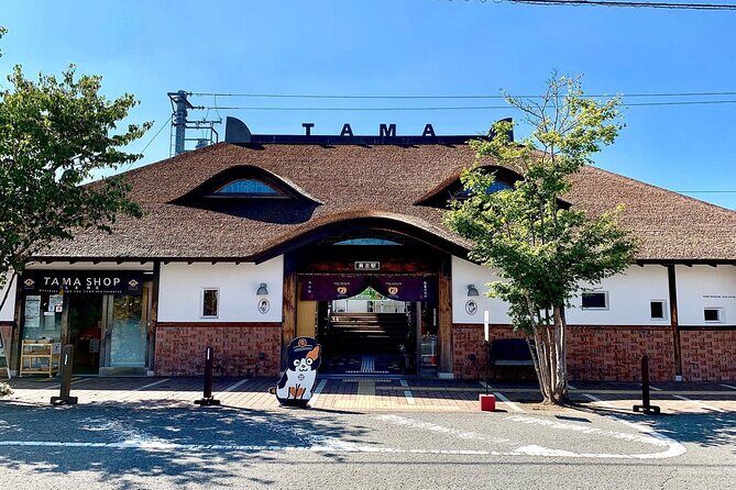 Private Customizable Tour in Wakayama - Why Choose This Tour?