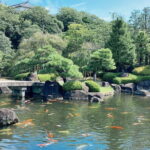 Private Customize Tour Himeji from Osaka - Authenticity and Unique Experiences