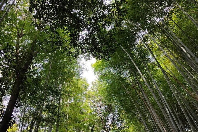 Private Customized Walking in Tour Kyoto - What’s Included and Whats Not