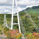 PRIVATE Day MiniBUS Tour to KOKONOE & YUFUIN, BEPPU from Fukuoka - Overall Value and Practical Aspects