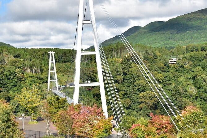 PRIVATE Day MiniBUS Tour to KOKONOE & YUFUIN, BEPPU from Fukuoka - Overall Value and Practical Aspects