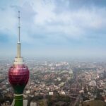 Private day tour at Colombo city from Negombo - Why This Tour Works for You