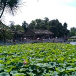 Private Day Tour: Badaling Great Wall & Summer Palace with Local Lunch - Who Should Consider This Tour?