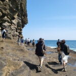 Private Day tour Guided Taxi Driver All Jeju area in Jeju island - The Practicalities: What to Expect