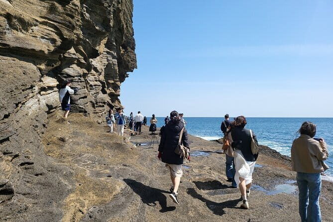 Private Day tour Guided Taxi Driver All Jeju area in Jeju island - The Practicalities: What to Expect