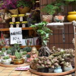 Private Day Tour in Guangzhou College Town - The Value of this Tour