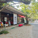 Private Day Tour in Hidden Fukuoka Japan - An In-Depth Look at the Itinerary