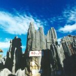 Private Day Tour: Kunming Highlight of Stone Forest - Authentic Experiences and Traveler Insights