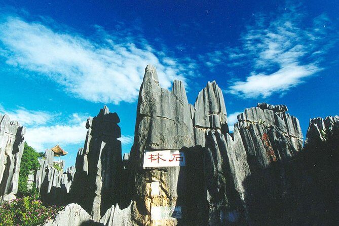 Private Day Tour: Kunming Highlight of Stone Forest - Authentic Experiences and Traveler Insights