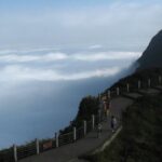 Private Day Tour: Mount Emei Tour by high-speed train from Chengdu - What’s Included and What’s Not