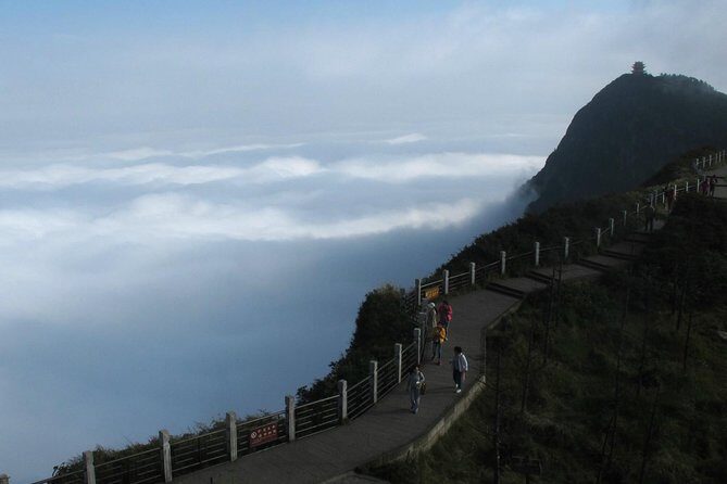Private Day Tour: Mount Emei Tour by high-speed train from Chengdu - What’s Included and What’s Not