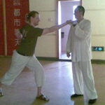 Private Day Tour of Chinese Kungfu and Terra-cotta Warriors - Additional Notes on the Experience