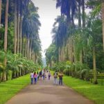 Private Day Tour Of Kandy From Galle and Bentota - Transportation and Overall Experience