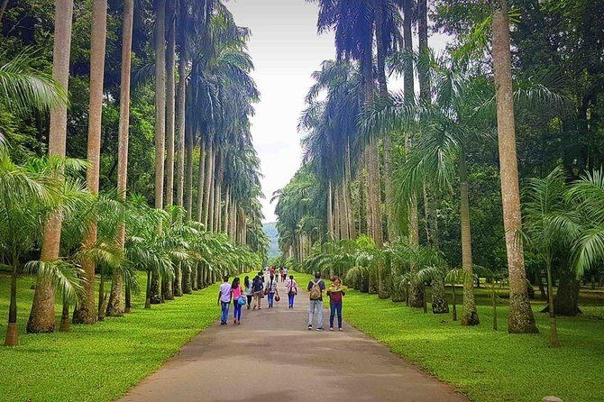Private Day Tour Of Kandy From Galle and Bentota - Transportation and Overall Experience