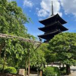 Private Day Tour of the Temples of Kyoto - What the Experience Means for You