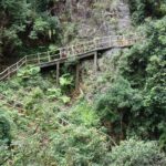 Private Day Tour to Guangdong Grand Canyon from Guangzhou - Why This Tour Offers Good Value
