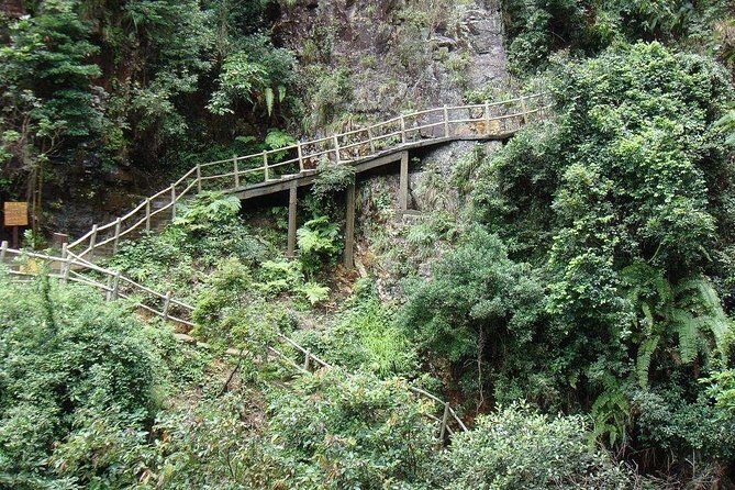 Private Day Tour to Guangdong Grand Canyon from Guangzhou - Why This Tour Offers Good Value