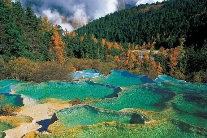 Private Day Tour to Huanglong Park by Bullet Train from Chengdu - An In-Depth Look at the Experience