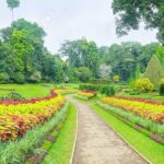 Private Day Tour To Kandy From Kaluthara - What Reviewers Have Said
