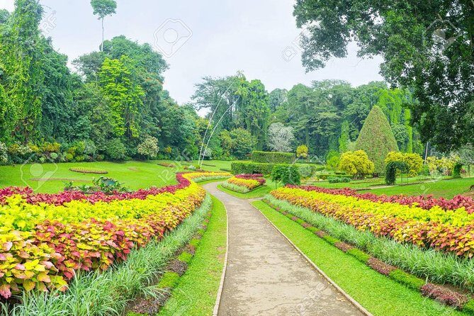 Private Day Tour To Kandy From Kaluthara - What Reviewers Have Said