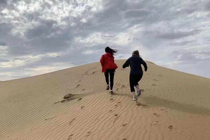 Private Day Tour to Kubuqi Desert from Hohhot with Pick Up - Final Thoughts