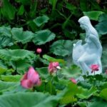 Private Day Tour to Lianhua Mountain and Shawan Town with Lunch from Guangzhou - What Makes This Tour Stand Out?