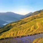 Private Day Tour to Longji Rice Terrace from Yangshuo - Authentic Experiences and Real Insights