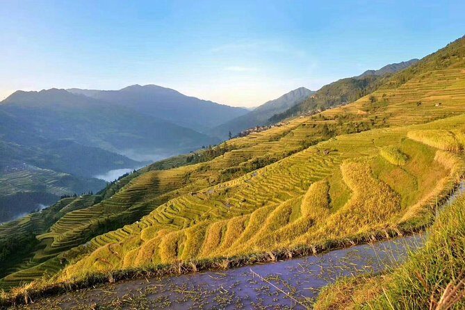 Private Day Tour to Longji Rice Terrace from Yangshuo - Authentic Experiences and Real Insights