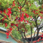 Private Day Tour to Mount Guifeng in Xinhui from Guangzhou - The Sum Up