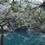 Private Day tour to Mt Dinghu and Seven Star Crags from Guangzhou - How the Booking and Cancellation Work