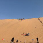 Private Day Tour to Shapotou Desert from Yinchuan - Detailed Breakdown of the Itinerary