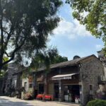 Private Day Tour to Shawan Ancient Town from Guangzhou - Practical Tips for Booking