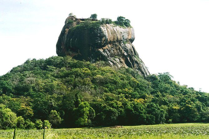 Private day tour to Sigiriya and Dambulla from Negombo - Sigiriya Rock Fortress: An Architectural Wonder