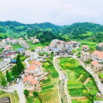 Private Day Tour to the Most Famous Scenic Xiamen Junying Village - Transportation and Overall Experience