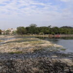 Private Day Tour to Xing'An Water Street and Ling Canal from Guilin - Why This Tour Offers Great Value