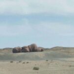 Private Day Tour to Xuanquanzhi Ruin and Statue of Son of Earth from Dunhuang - Practicalities: What to Expect from the Tour